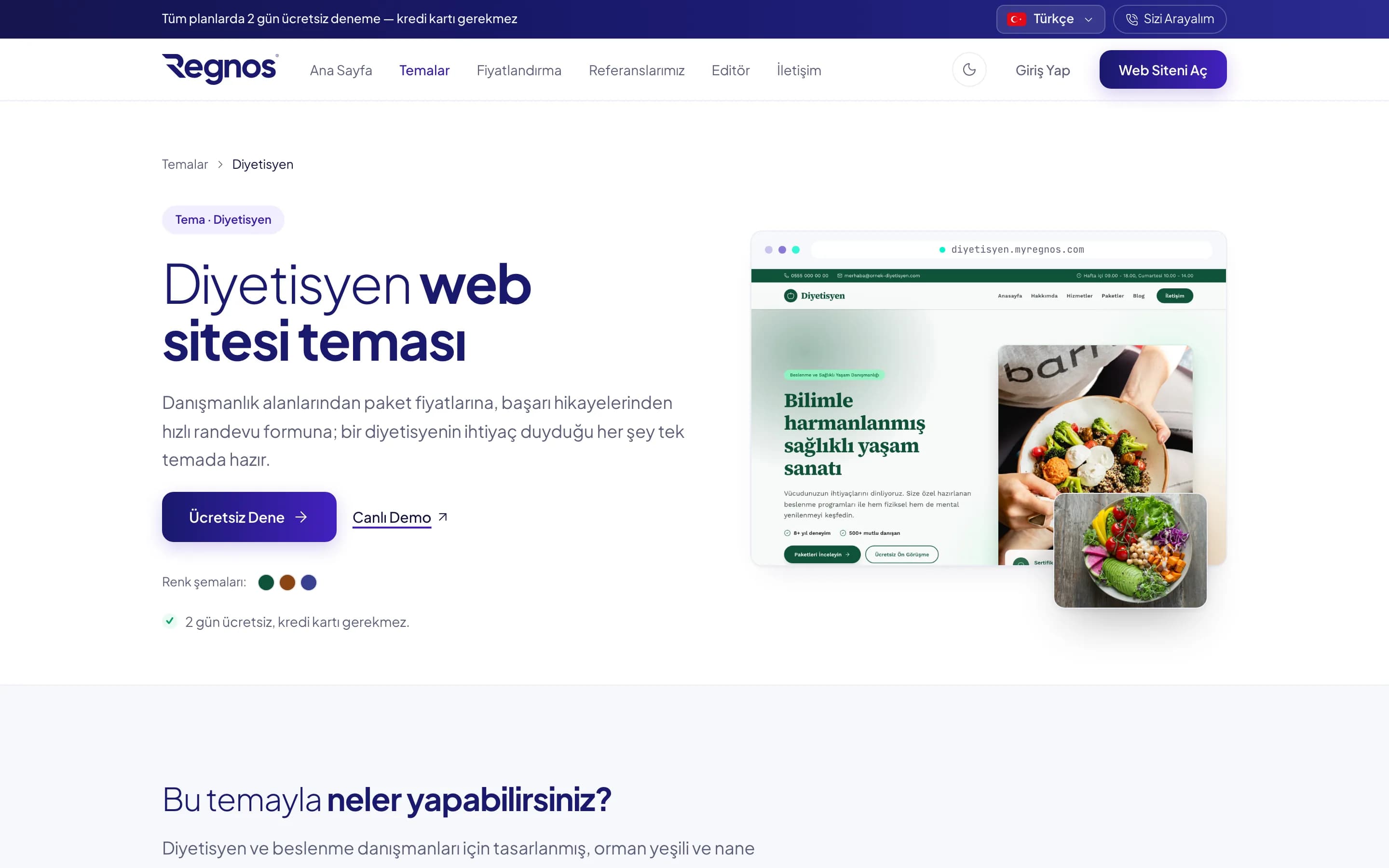 Diyetisyenler için hazırlanan temanın tanıtım sayfası